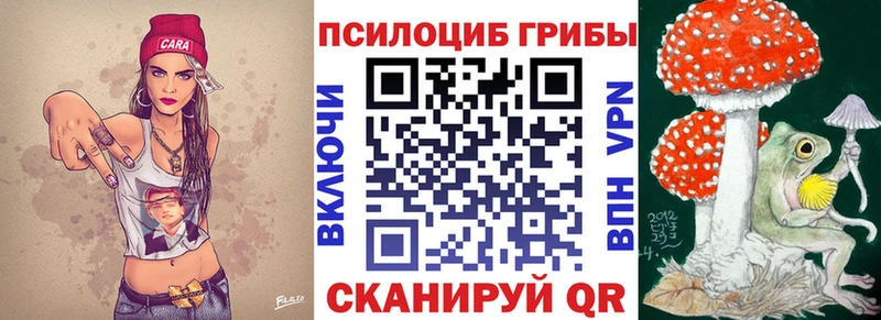 Псилоцибиновые грибы Cubensis  Тобольск 